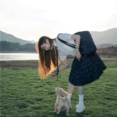 被炉、蜜桔和小猫